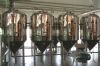 stainless steel cans fermentation tanks