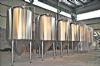 stainless steel cans/fermentation tanks